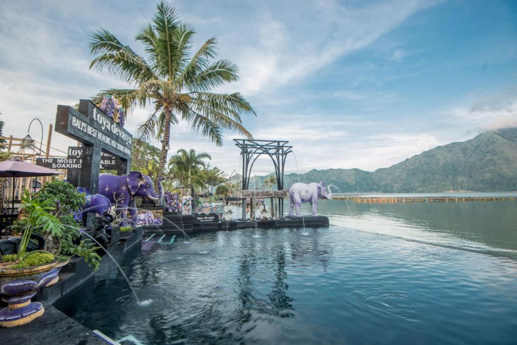 The Ayu Kintamani Bali