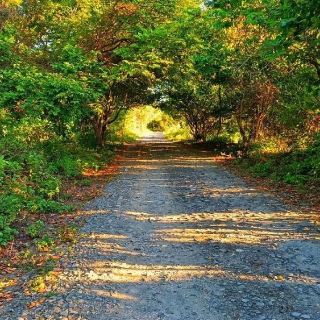 Taman Nasional Bali Barat