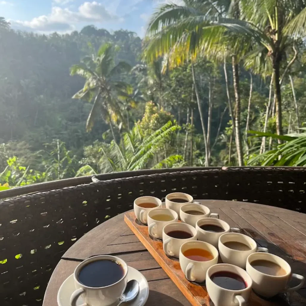 Coffee Plantation Coffee Plantation