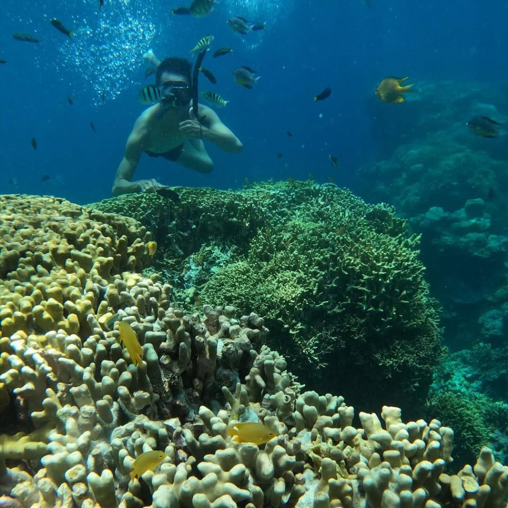 Taman Nasional Bali Barat