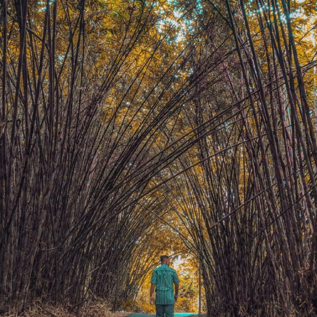 Desa Panglipuran Bali