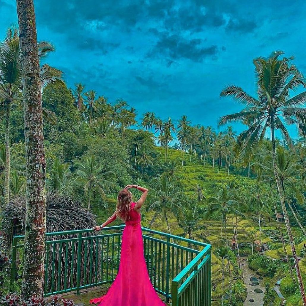 Ubud Rice Terrace