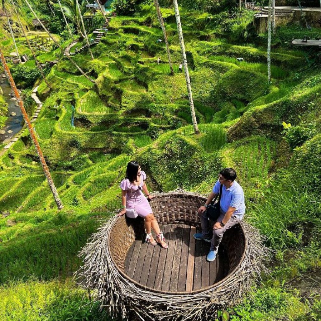 Bali rice terrace