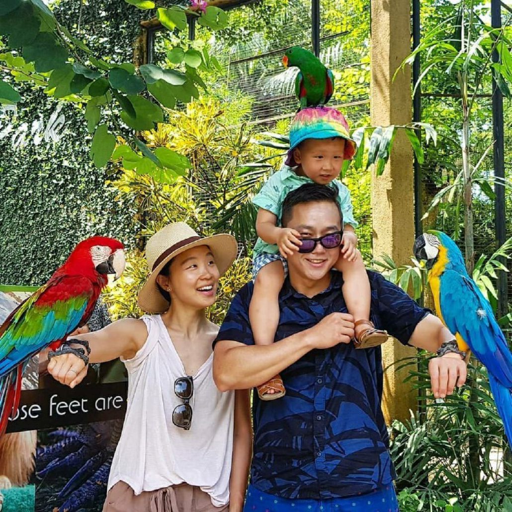 Bali bird Park